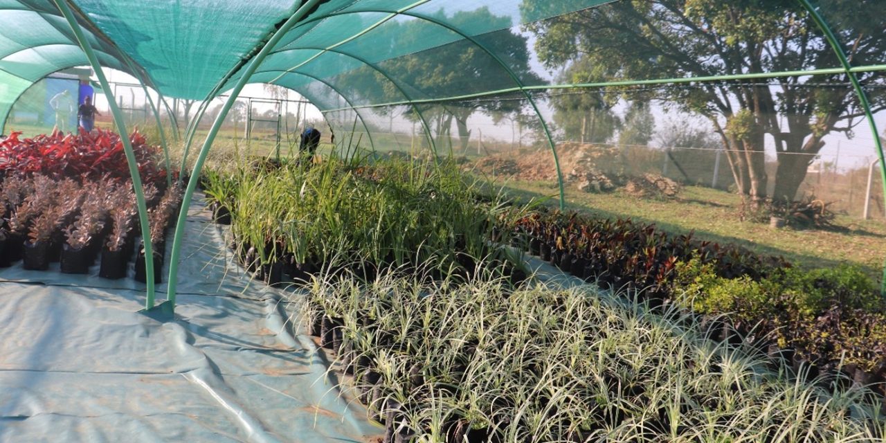 A REFRESHER ON SERVICES OFFERED BY COUNCIL